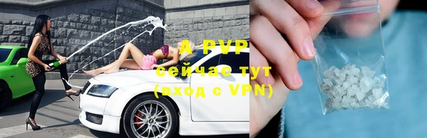 прущие грибы Богородицк