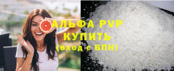 сатива Богданович