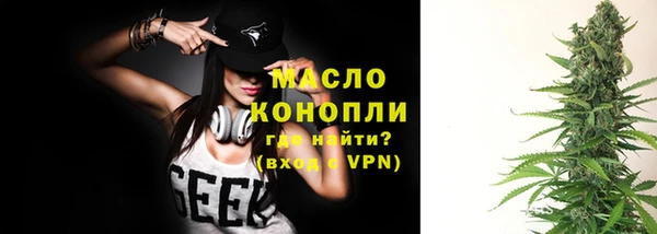 тгк Снежногорск