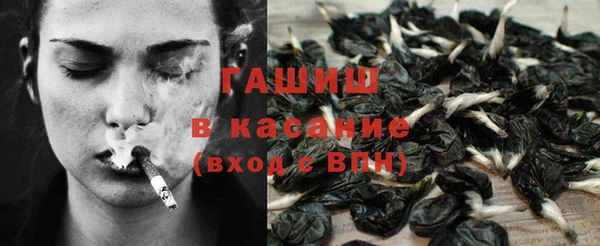 прущие грибы Богородицк
