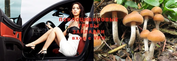 сатива Богданович