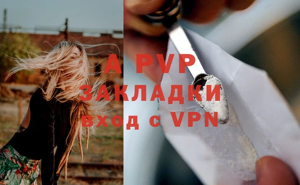прущие грибы Богородицк
