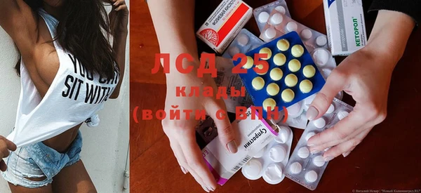 сатива Богданович