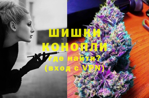 прущие грибы Богородицк