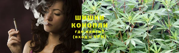 гидра Снежинск